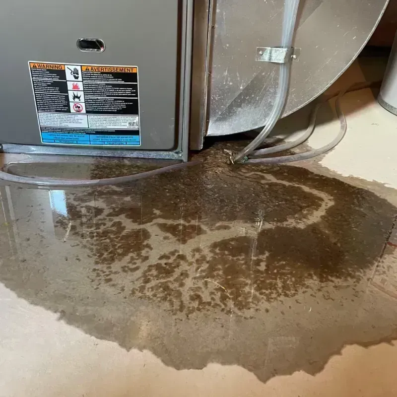 Appliance Leak Cleanup in Clinton, TN